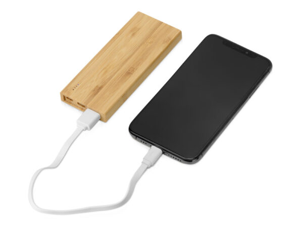 Внешний аккумулятор из бамбука «Bamboo», 5000 mAh 2