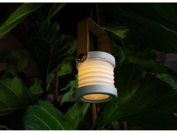 Настольная лампа LED «Oko» 6