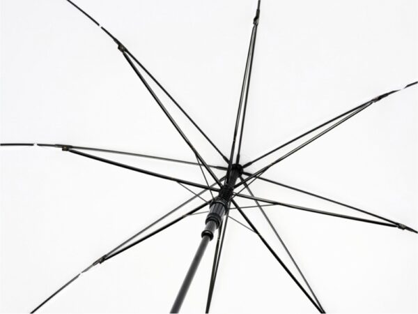 Зонт-трость «Alina» 3
