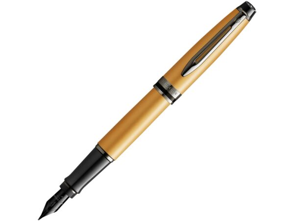 Ручка перьевая Expert Metallic, F 1