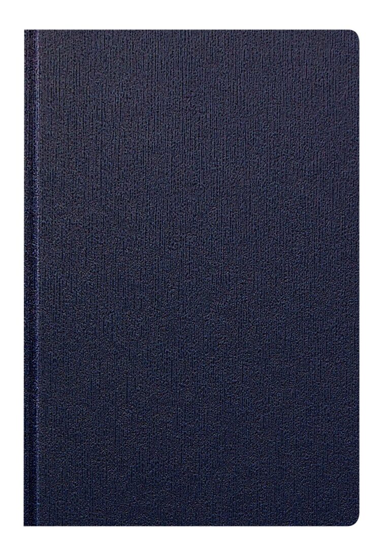 Ежедневник CAPRI Синий 19