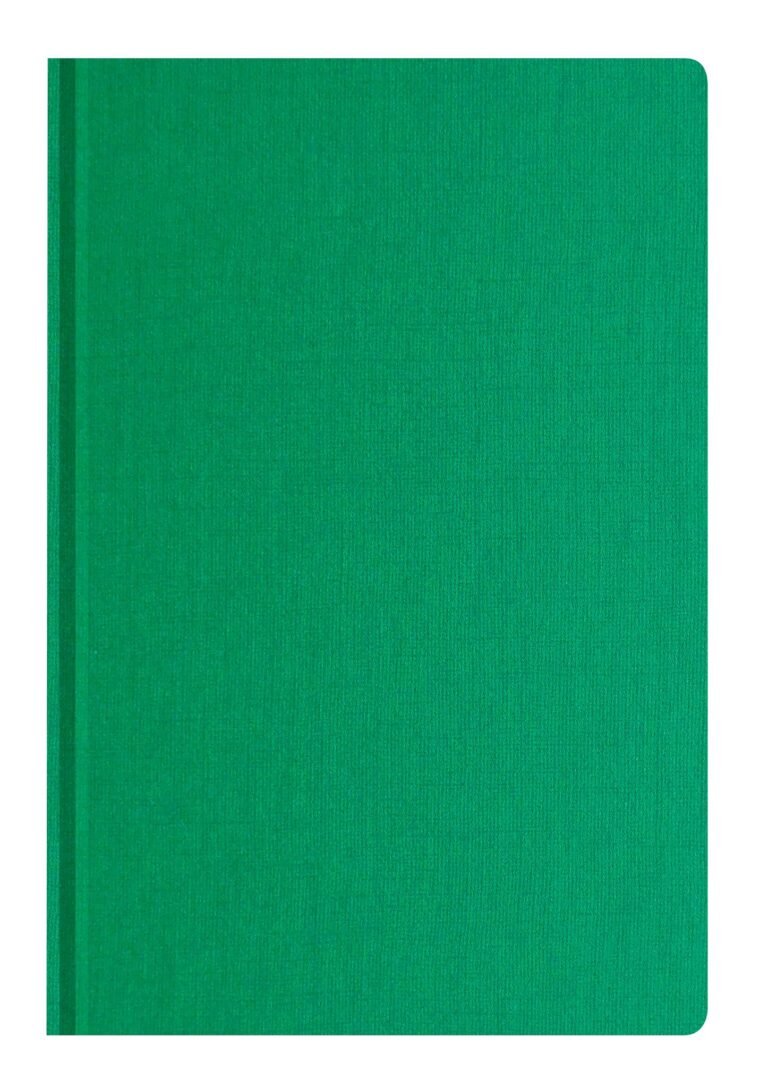 Ежедневник Caribe Зелёный 5