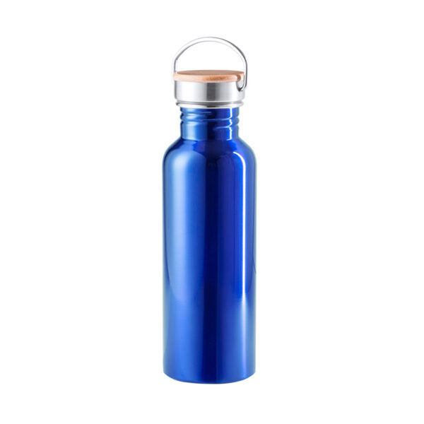 Бутылка для воды TULMAN, сталь, 800 мл, синий 1