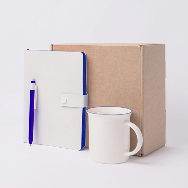 Набор подарочный : кружка, блокнот, ручка, коробка, стружка, белый с синим 1