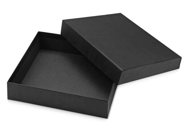 Подарочный набор Vision Pro Plus soft-touch с флешкой, ручкой и блокнотом А5 8