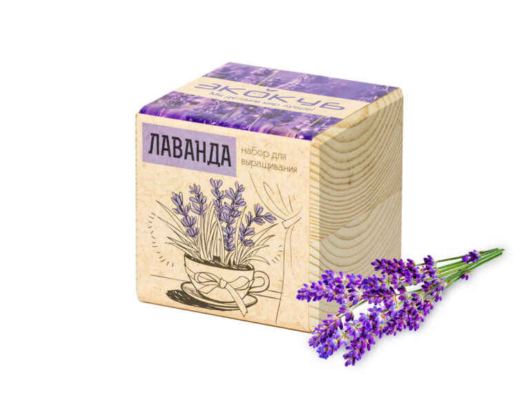 Набор для выращивания «Лаванда» 11