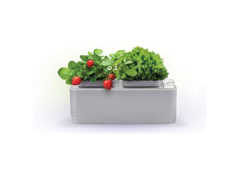 Компактный смарт-сад «iGarden» 11