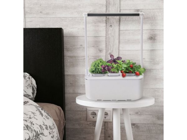 Компактный смарт-сад «iGarden PRO» с подсветкой 4