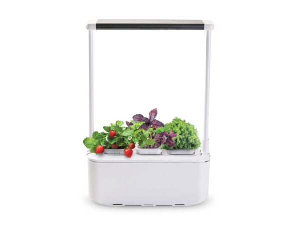 Компактный смарт-сад «iGarden PRO» с подсветкой 1