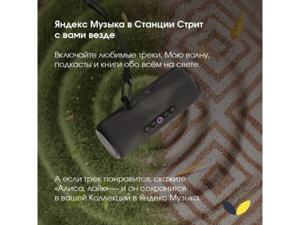 Умная колонка ЯНДЕКС Станция Стрит с Алисой 10