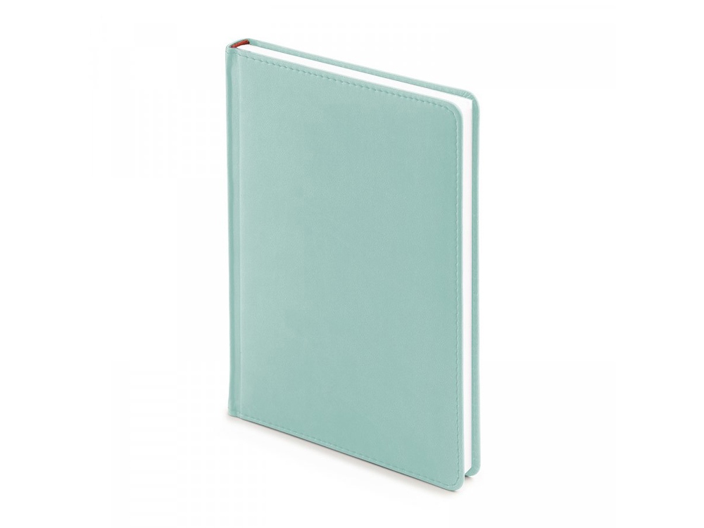 69664073bf74caf6.jpg Ежедневник недатированный А5 «Velvet» 1