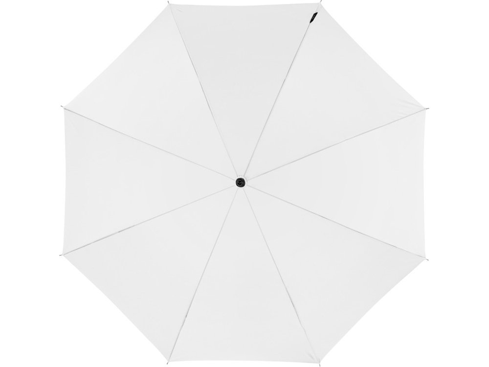 0ffe5c395b2ddd9c.jpg Зонт-трость «Arch» 2