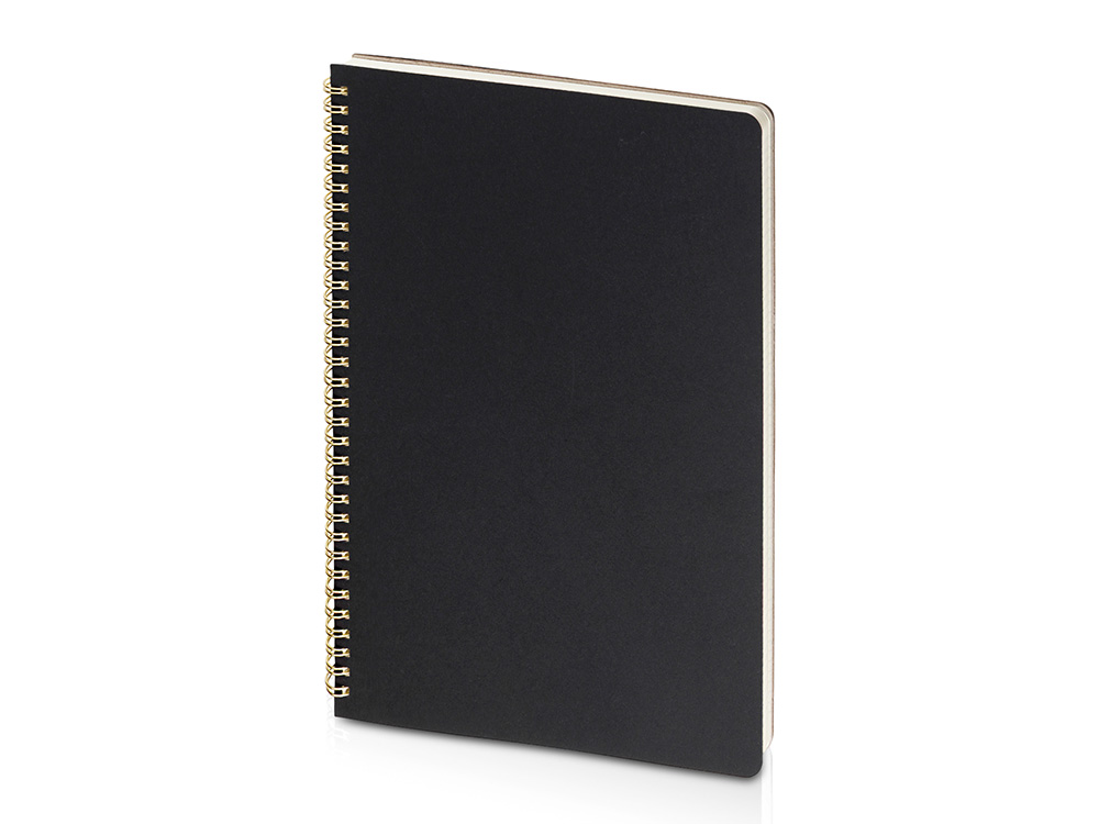 a8161f12e41be2df.jpg Бизнес-тетрадь А4 «Pragmatic» 1