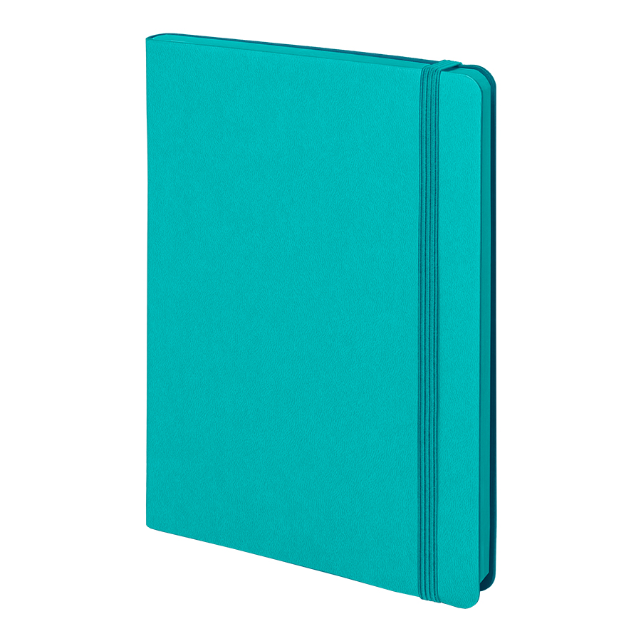 af8c0718-d24f-11ef-967c-00155d41c408 Бизнес-блокнот "RILY", формат А5, бирюзовый, блок в точку 1