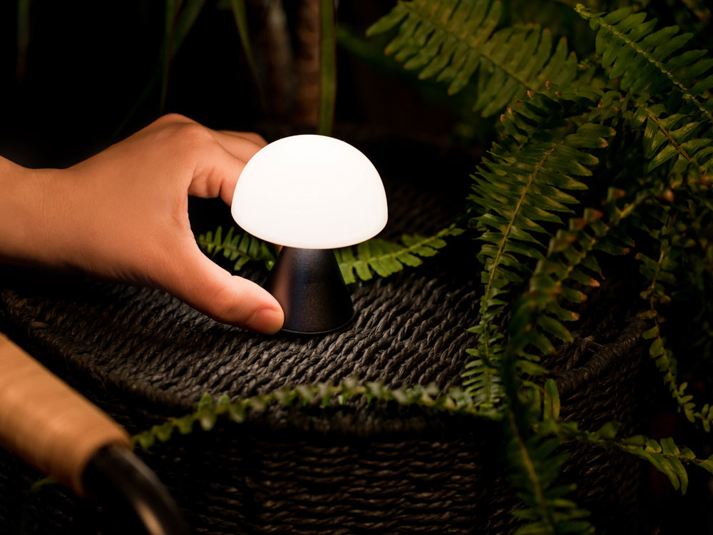 556e57b2841facc3.jpg Лампа интерьерная Mina 5