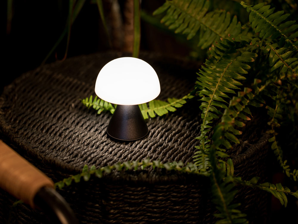 bf2b001e276ed973.jpg Лампа интерьерная Mina 6