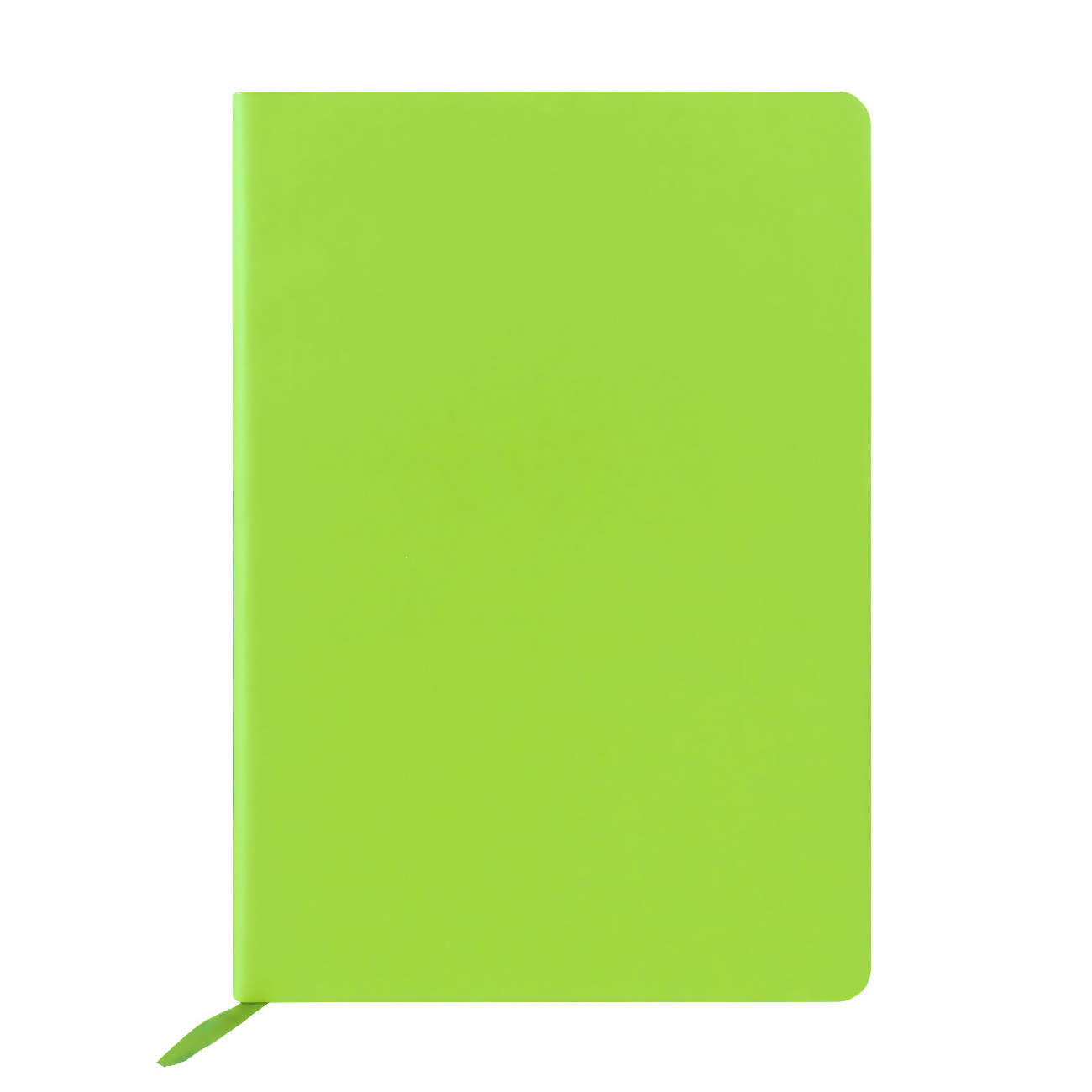 светло-зеленый Блокнот NIKA soft touch Светло-зелёный 1